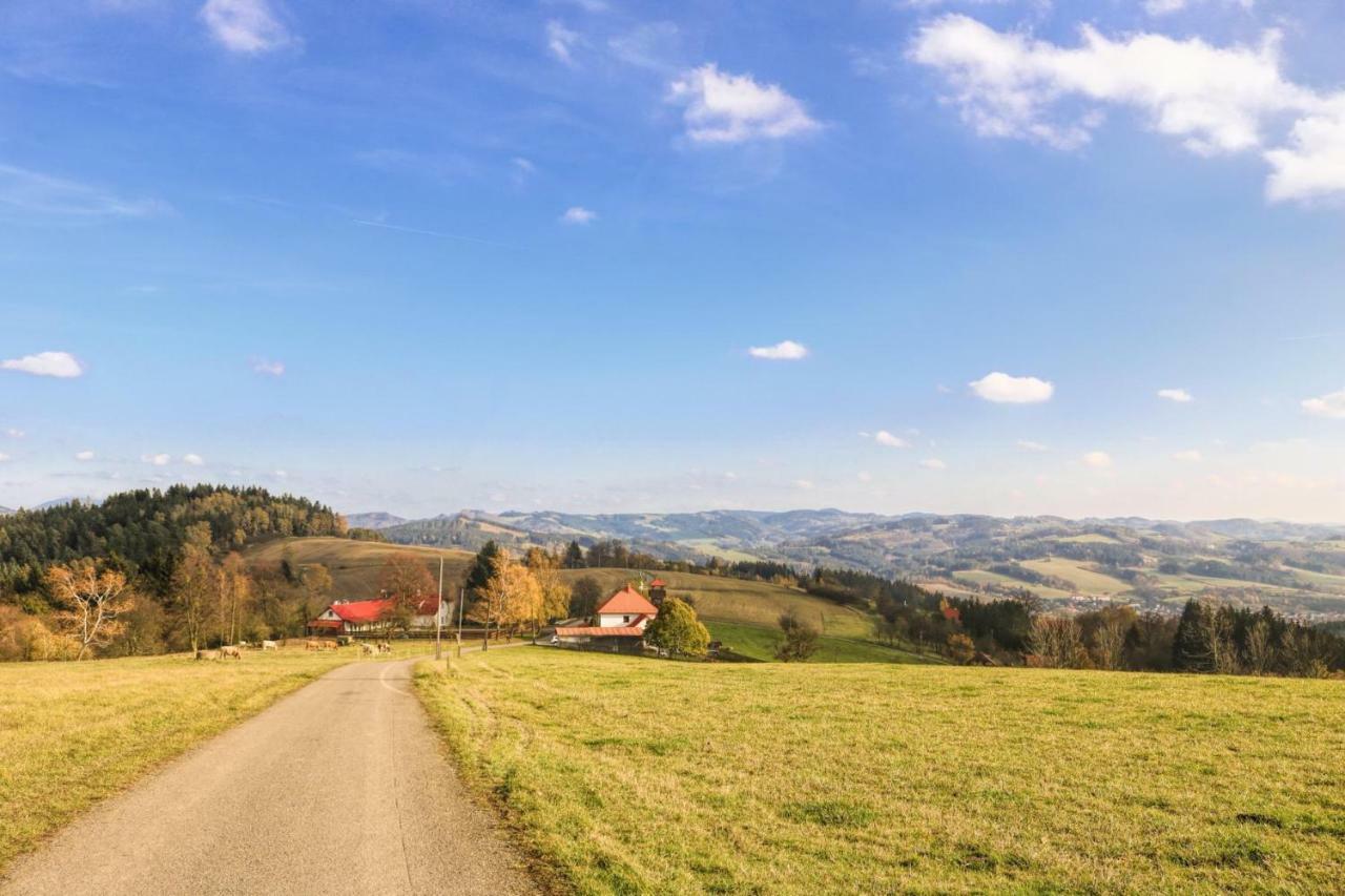 Ubytovani Na Przenskych Pasekach Mikuluvka Extérieur photo